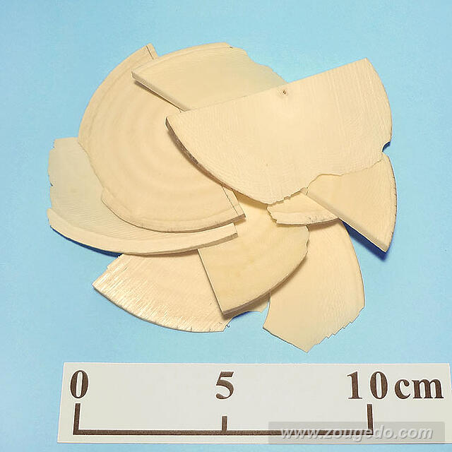 【象牙材料】断ち端6・100g