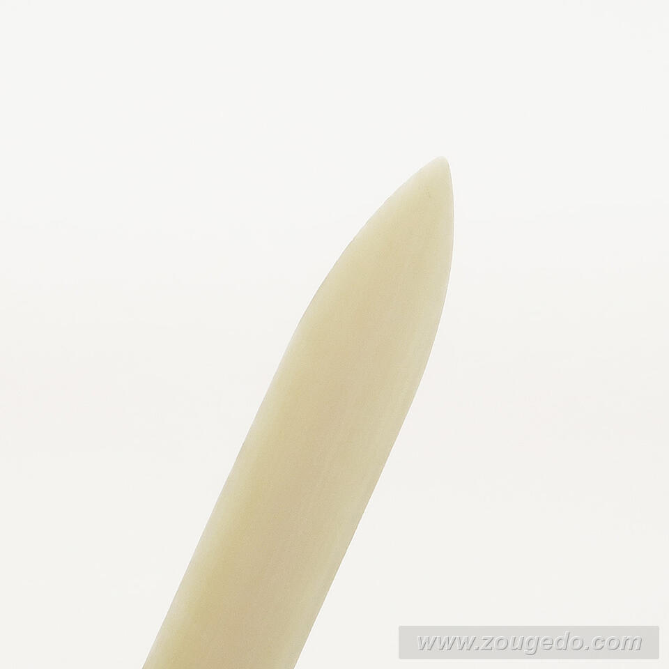 【本象牙】楊枝（大）