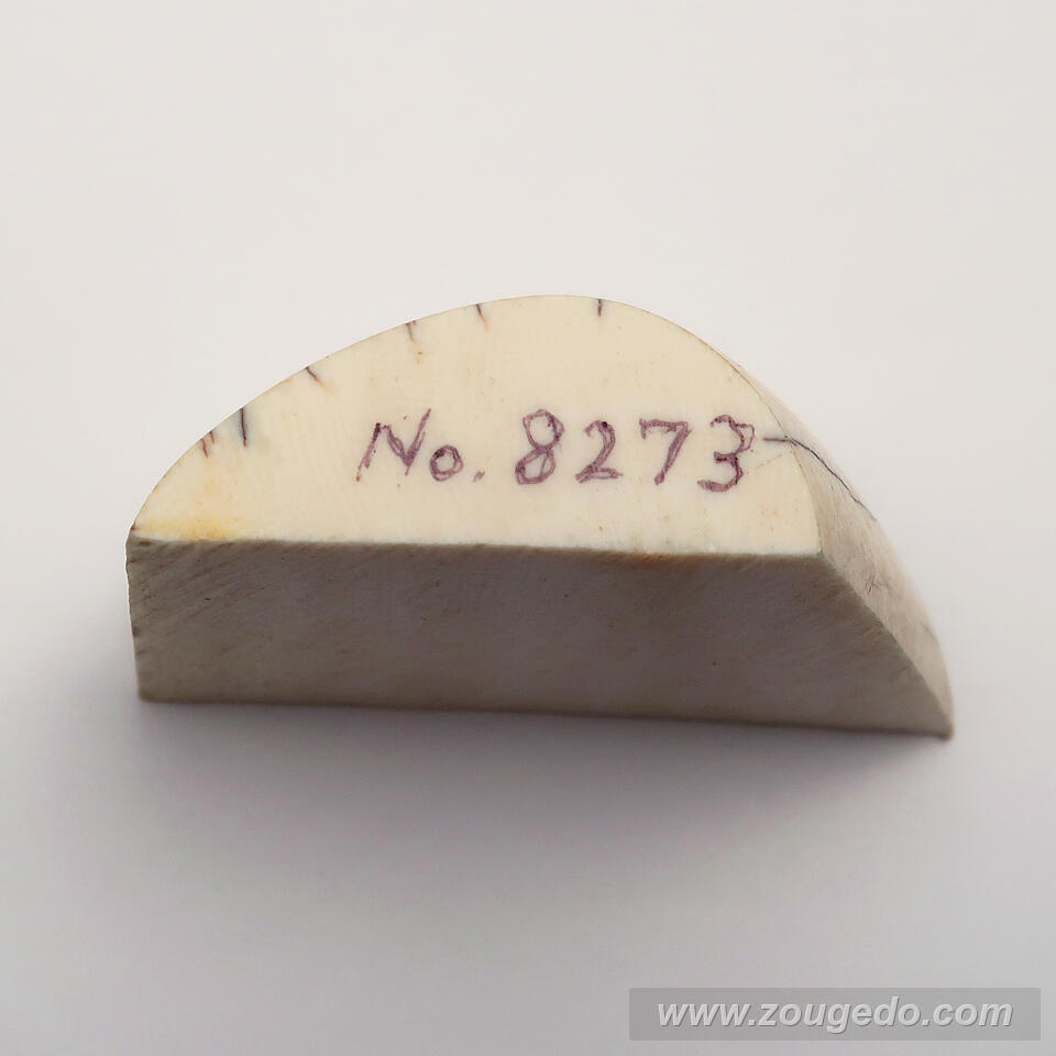 【象牙材料】かまぼこ型103