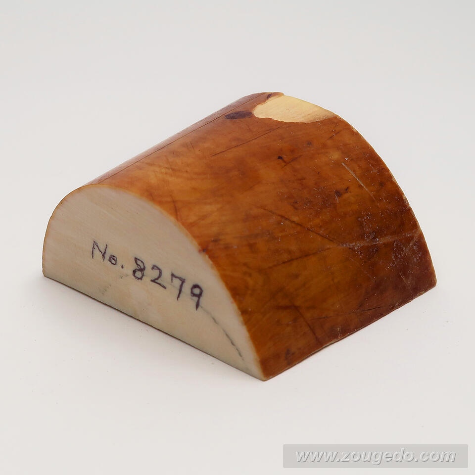 【象牙材料】かまぼこ型109